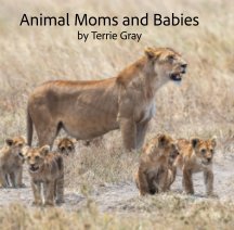 Animal Moms and Babies book cover