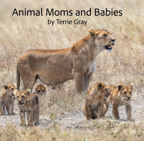 View Animal Moms and Babies by Terrie Gray