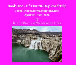 Book One - 28 Day Road Trip book cover