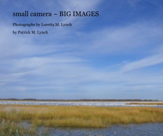 small camera ~ BIG IMAGES book cover