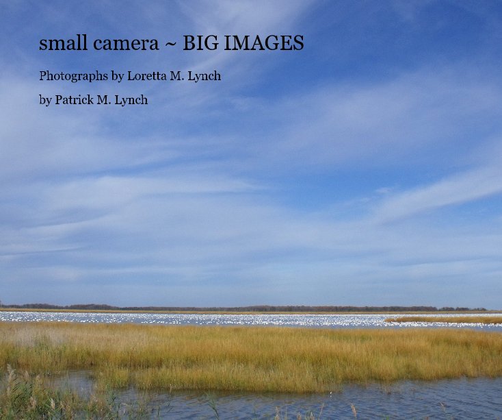 View small camera ~ BIG IMAGES by Patrick M. Lynch