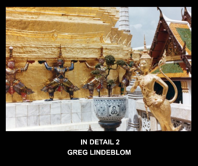 Bekijk In Detail 2 op Greg Lindeblom