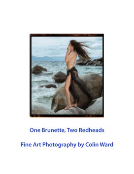 One Brunette, Two Redheads book cover
