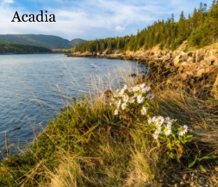 Acadia book cover