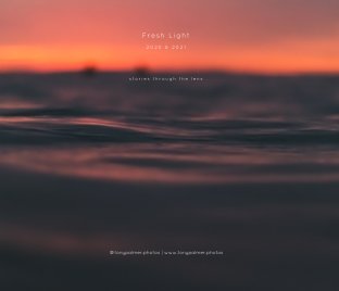 Fresh Light - Volume 1 - 2020 and 2021 - Art book cover