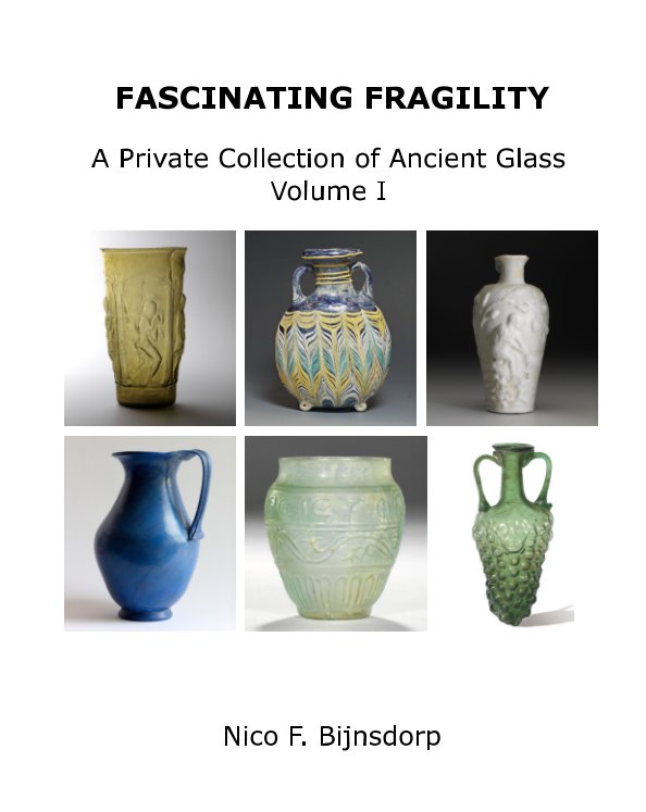 View Fascinating Fragility Volume 1 by Nico F. Bijnsdorp