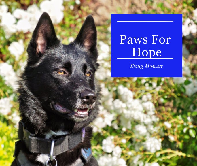 View Paws For Hope by Douglas Mowatt