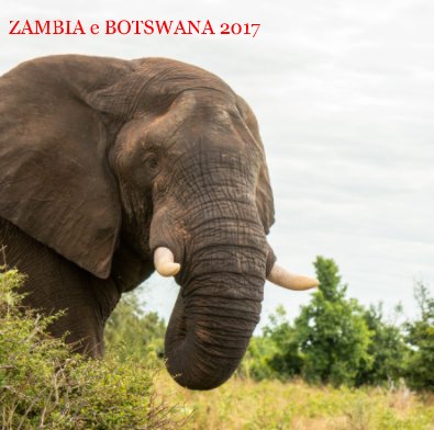 ZAMBIA e BOTSWANA 2017 book cover