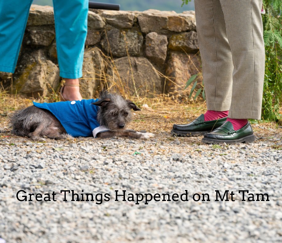 View Great things Happened on Mt Tam by James Whittlesey