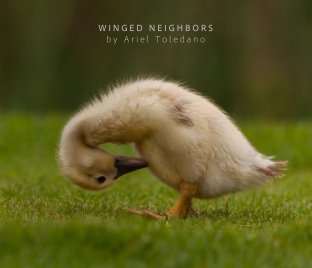 Winged Neighbors book cover