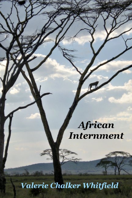 View African Internment by Valerie Chalker Whitfield