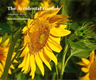 The Accidental Garden book cover