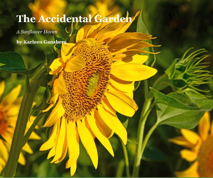 View The Accidental Garden by Karleen Gansberg