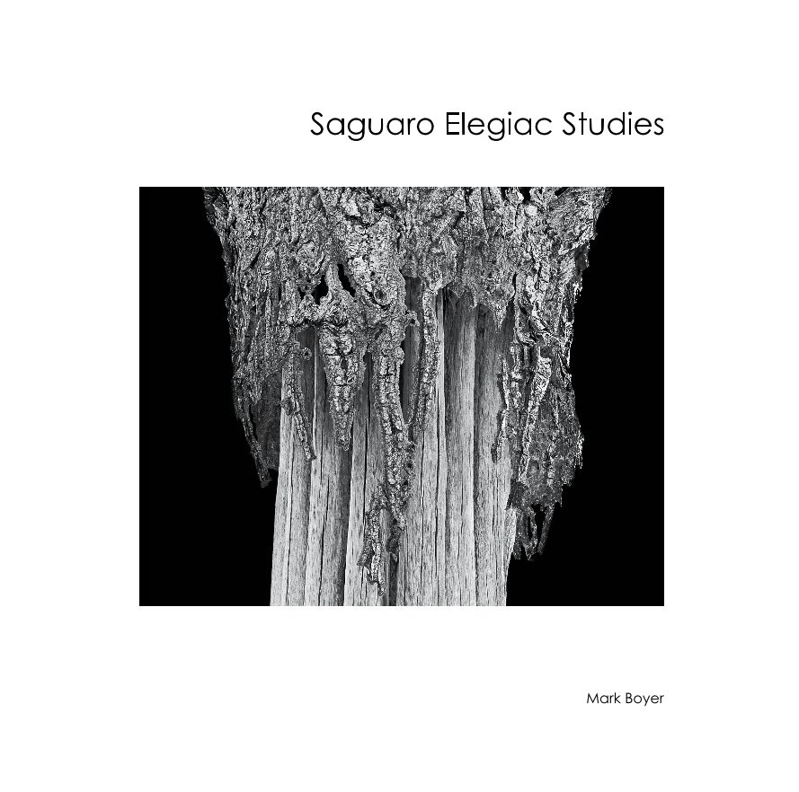 View Saguaro Elegiac Studies by Mark Boyer