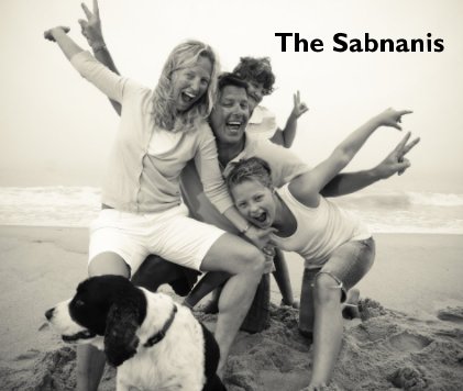 The Sabnanis book cover