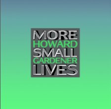 More Small Lives book cover