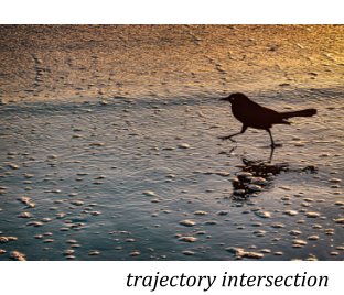 Trajectory Intersection book cover