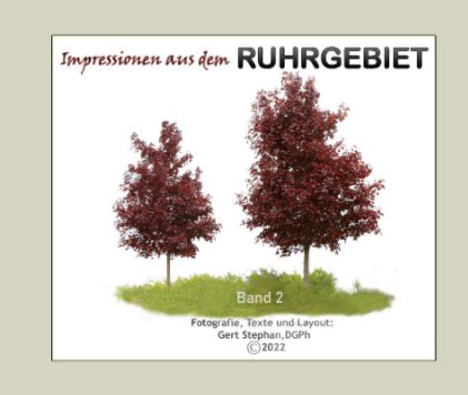 Impressionen Ruhrgebiet book cover
