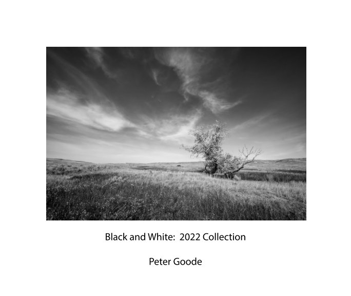 View Black and White by Peter Goode