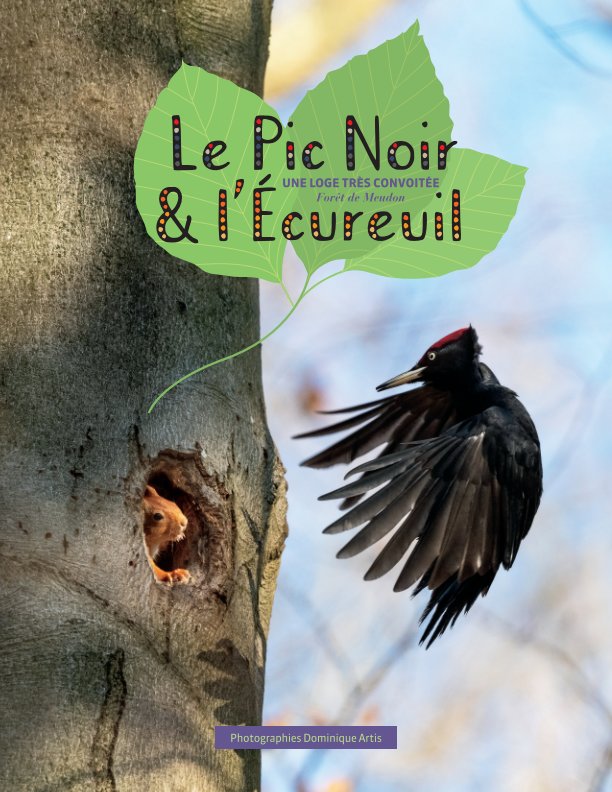 View Le pic noir et l'écureuil by Dominique Artis