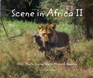 Scene in Africa II 2022 - photo journal book cover