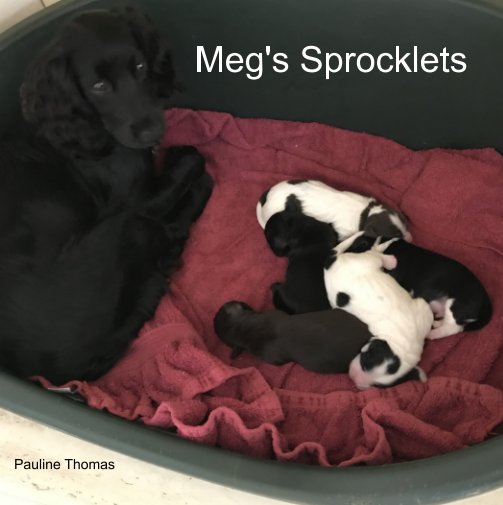 View Meg's Sprocklets by Pauline Thomas