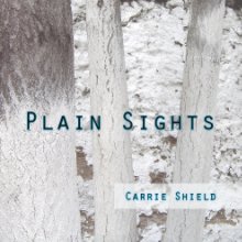 Plain Sights book cover