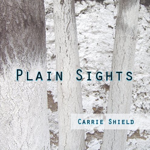 View Plain Sights by Carrie Shield