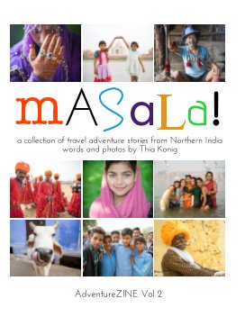 Masala book cover