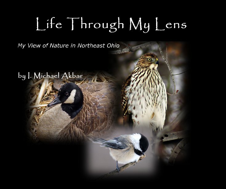 View Life Through My Lens by I. Michael Akbar