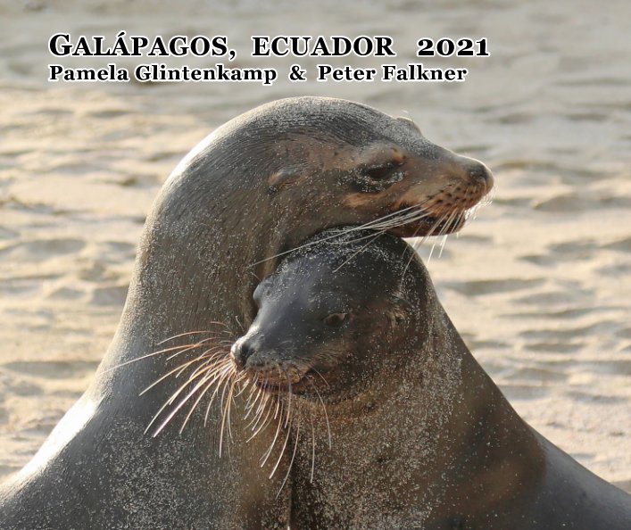 Ver Galapagos 2021 por Glintenkamp and Falkner