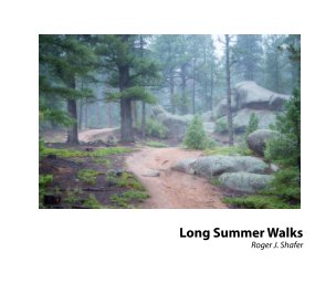Long Summer Walks book cover