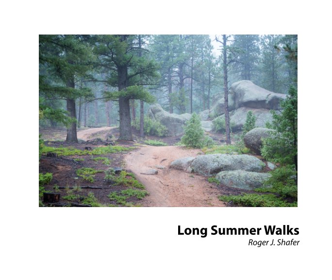 Visualizza Long Summer Walks di Roger J. Shafer