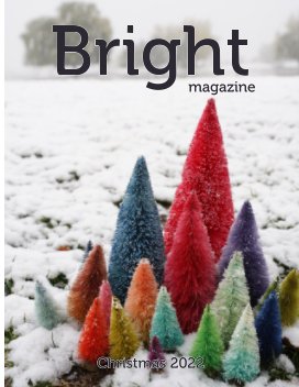 Bright Christmas 2022 book cover