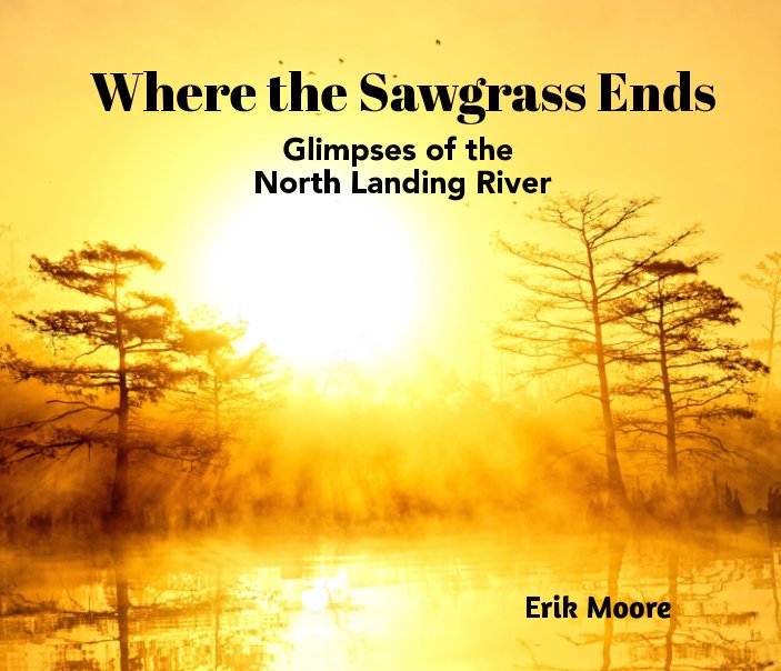View Where the Sawgrass Ends by Erik N Moore