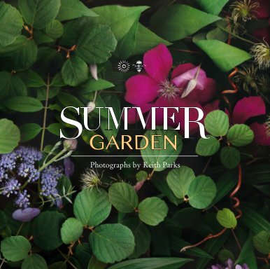 Summer Garden book cover