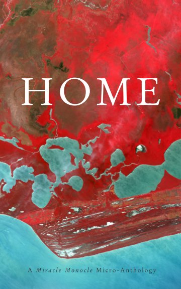 View Home by Edited by Sarah Anne Strickley