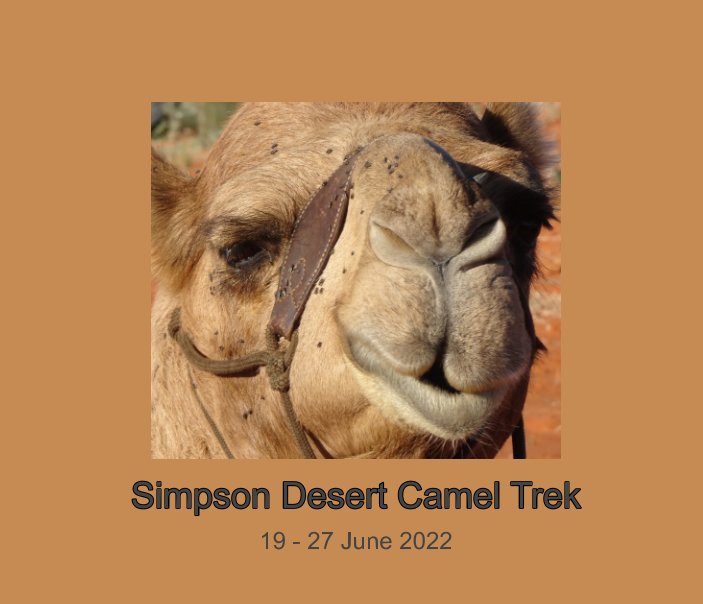 Ver Simpson Desert por David Young