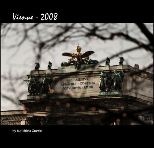 View Walking in: Wien by Matthieu Guerin