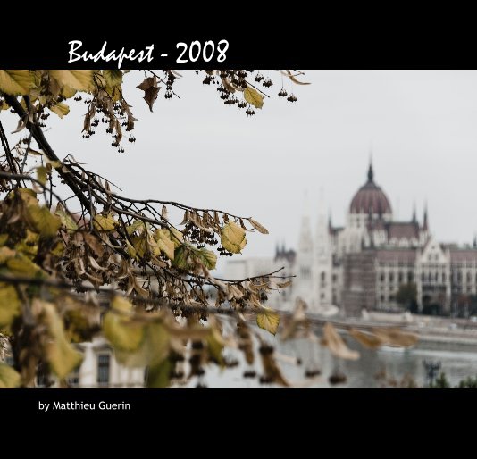 View Walking in: Budapest by Matthieu Guerin
