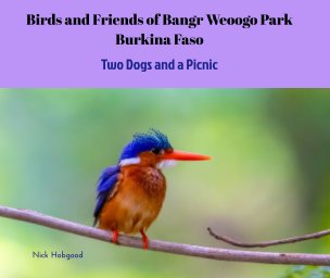 Birds and Friends of Bangr Weoogo Park - Burkina Faso book cover