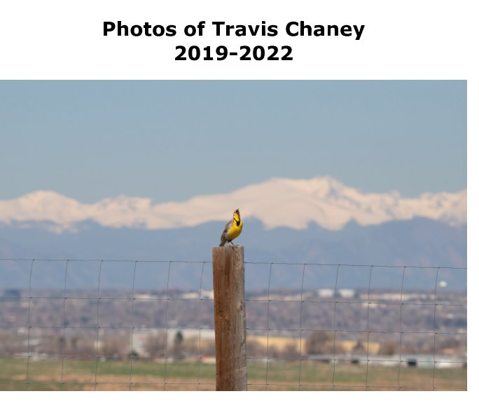 View Photos of Travis Chaney 2019-2022 by Travis Chaney