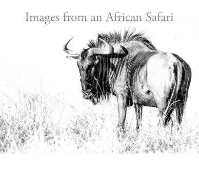 Images from an African Safari book cover