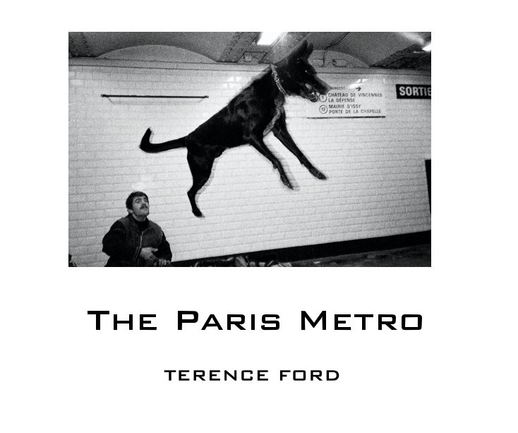 View The Paris Metro by TERENCE FORD