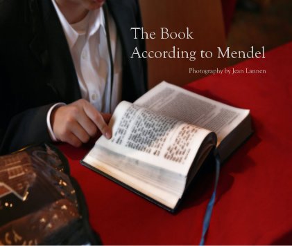 The Book According to Mendel book cover