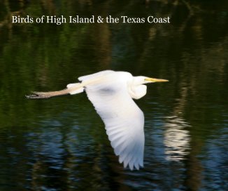 Birds of High Island book cover