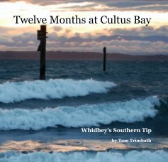 Twelve Months at Cultus Bay book cover