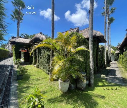 Bali 2022 by Peter Bertelle book cover