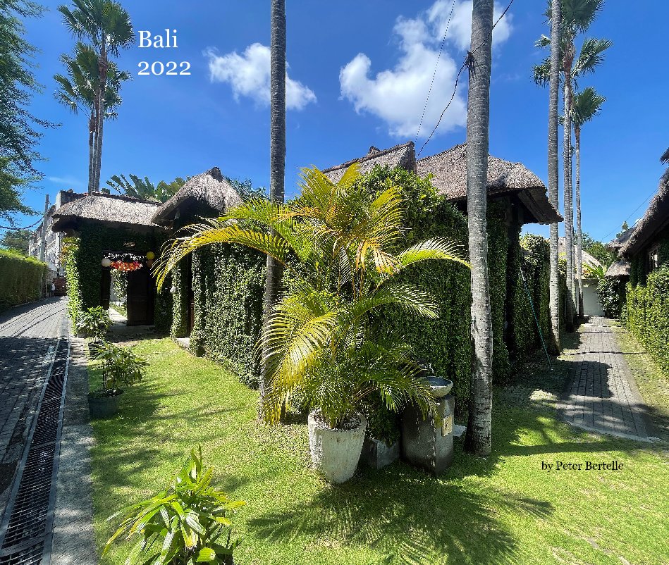 View Bali 2022 by Peter Bertelle by Peter Bertelle