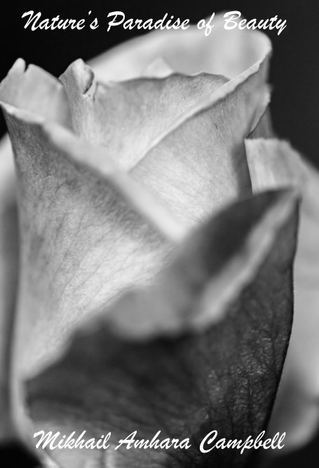 View Nature's Paradise of Beauty by Mikhail Amhara Campbell